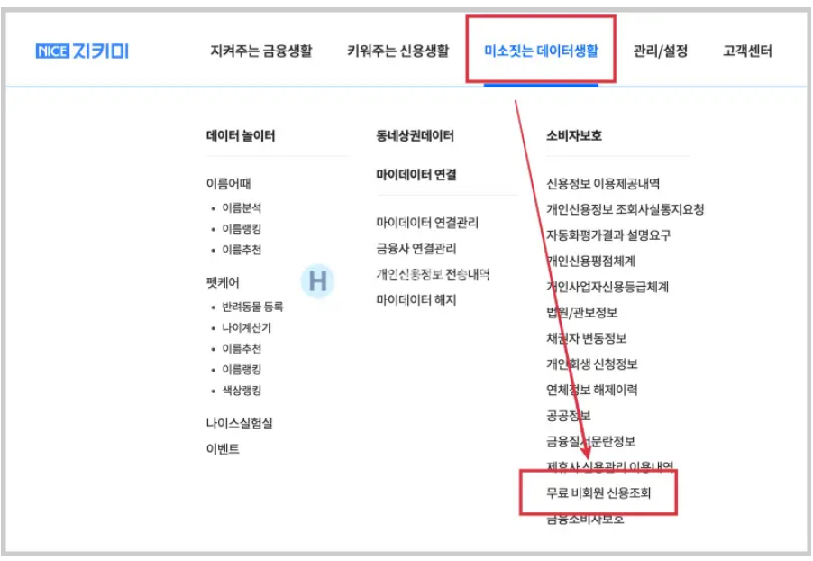 나이스지키미-무료신용조회