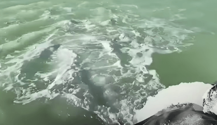 리튬 생산 장면