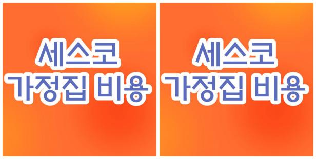세스코 가정집 비용