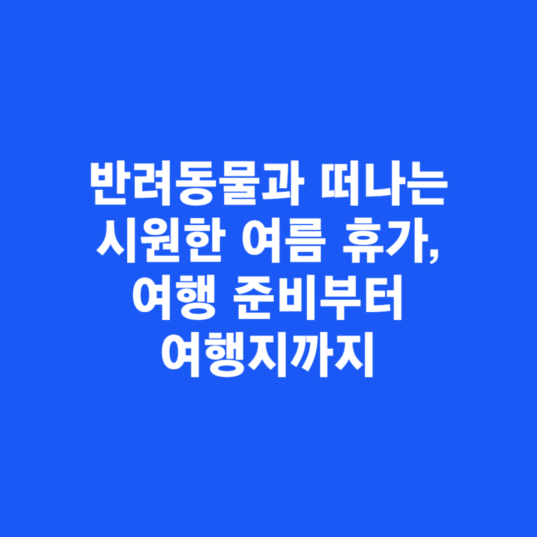 반려동물과 떠나는 시원한 여름 휴가, 여행 준비부터 여행지까지