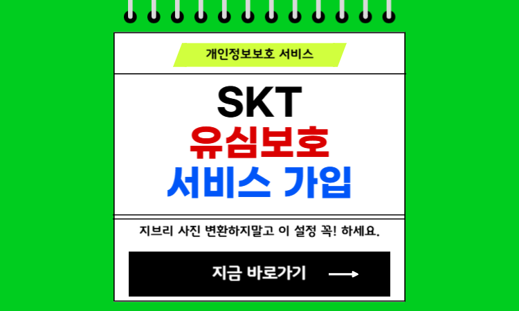 SKT μ μ¬λ³΄νΈ μλΉμ€ κ°μ