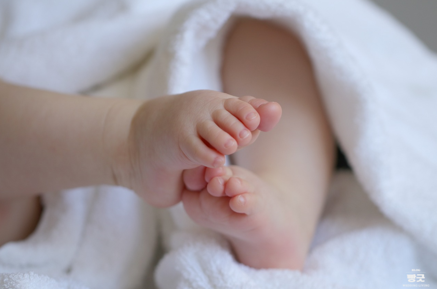 지원금액과 지급 형태