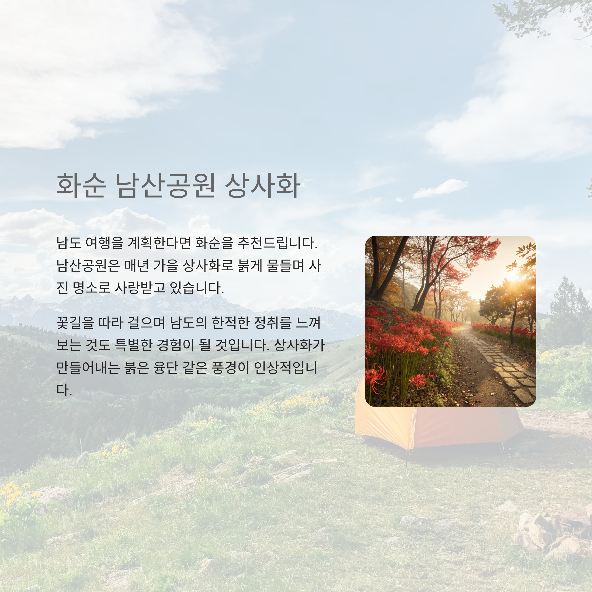 9월 여행지 추천, 상사화와 꽃축제로 물드는 가을