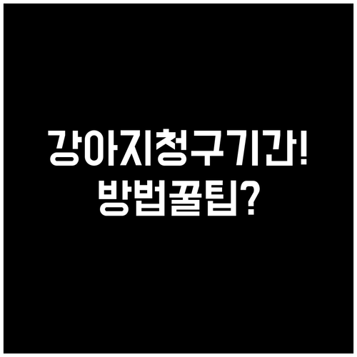 강아지 펫보험 청구 기간과 방법 총정..