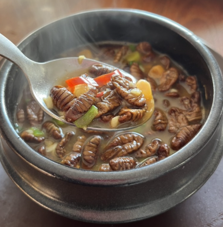 번데기 효능 칼로리 당뇨 부작용 단백질 다이어트 볶음 요리 영어로