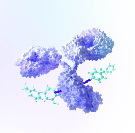 바이오의약품 개발 및 상업화 부문