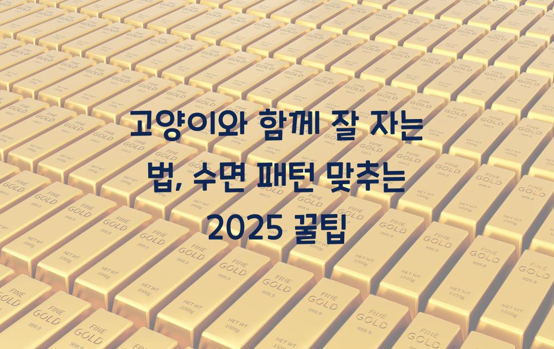 고양이와 함께 잘 자는 법, 수면 패턴 맞추는 꿀팁