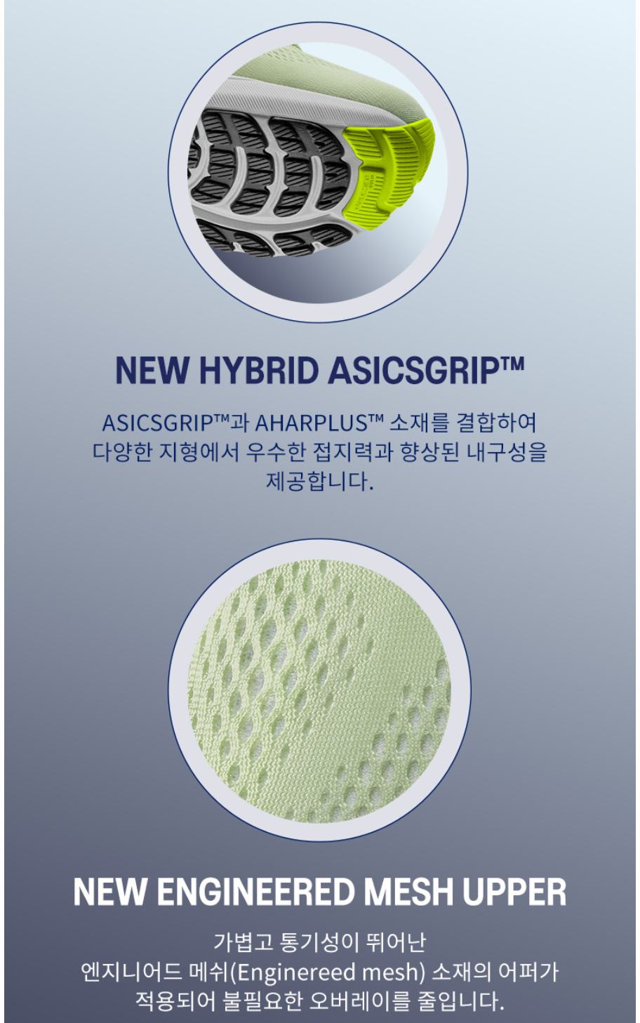 젤카야노 31 핵심 기술