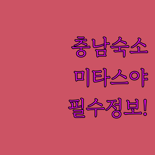 계룡 호텔 본 미타스야 료칸 등 충남..