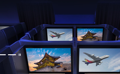 아시아나 마일리지