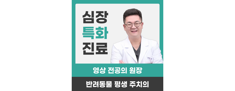 광주 동구 동물병원