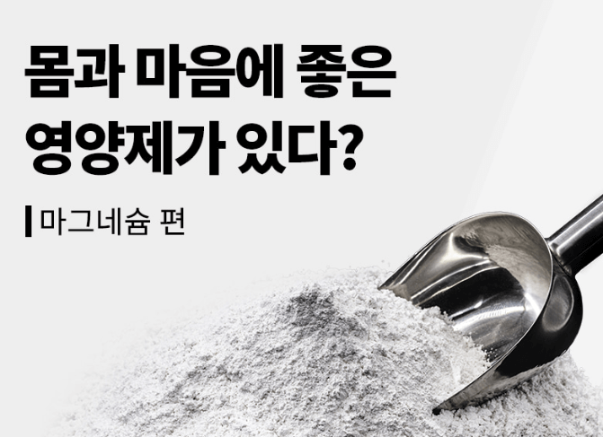 마그네슘 효능과 복용시간