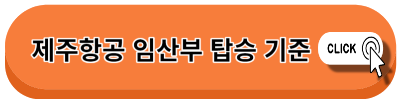 임산부 비행기
