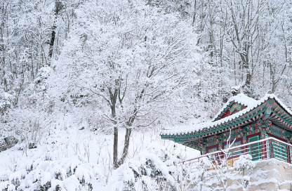 눈꿈 해몽