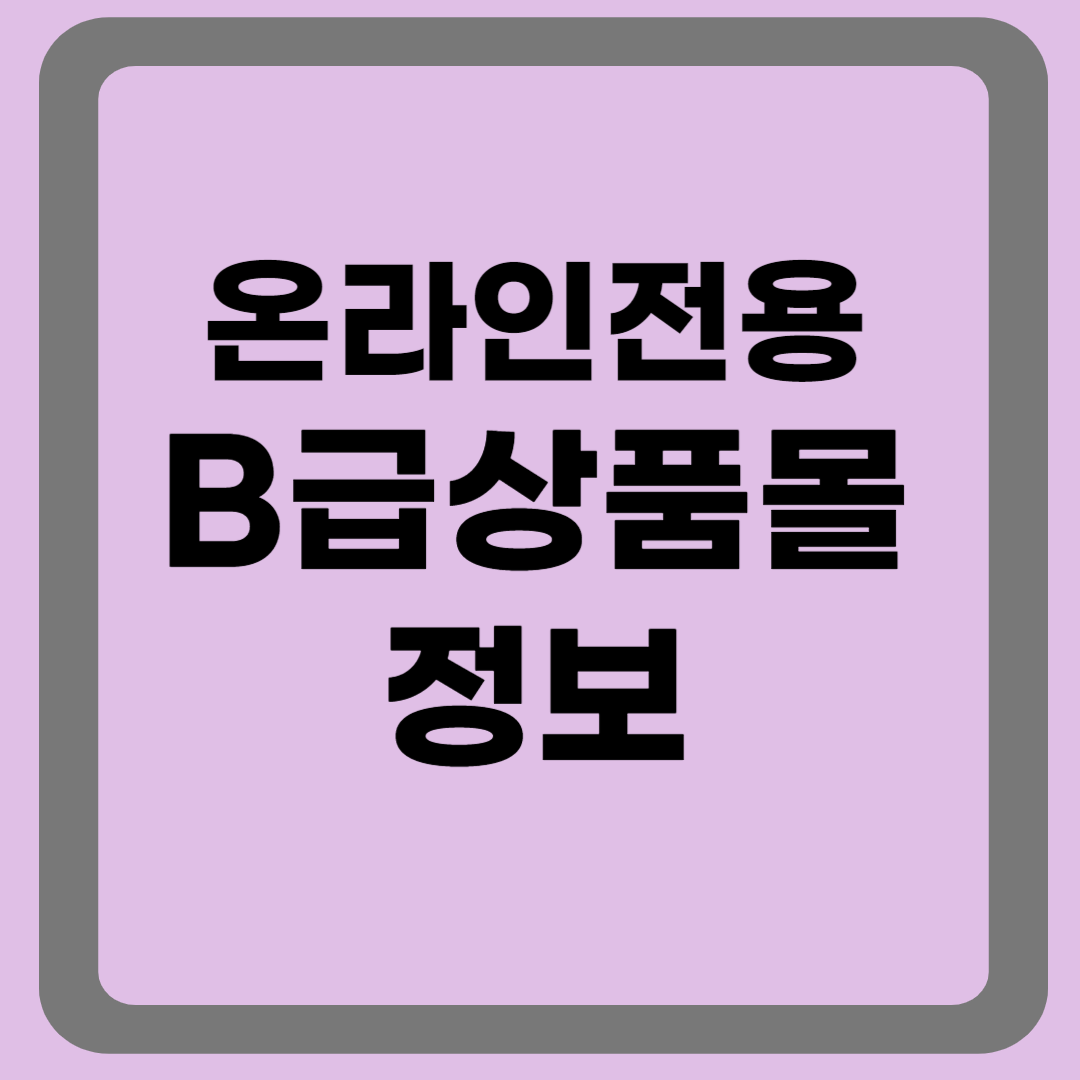온라인 전용 B급 상품몰