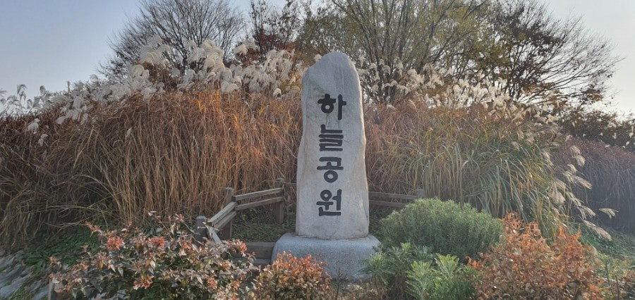 하늘공원 억새축제
