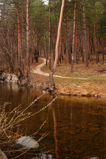 울진 가볼만한 곳 맛집 여행정보