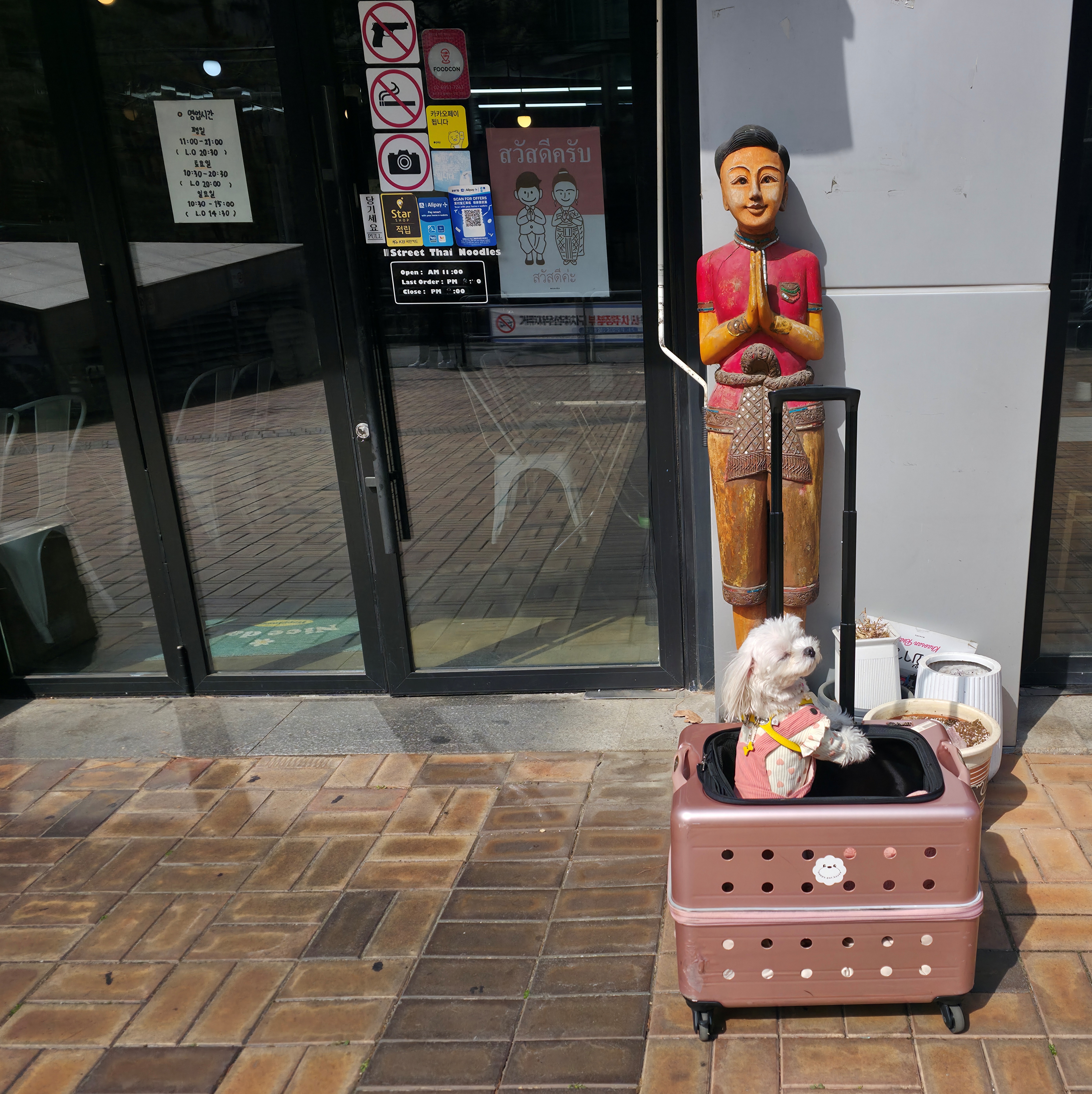 반려견 동반 식당 빅소이