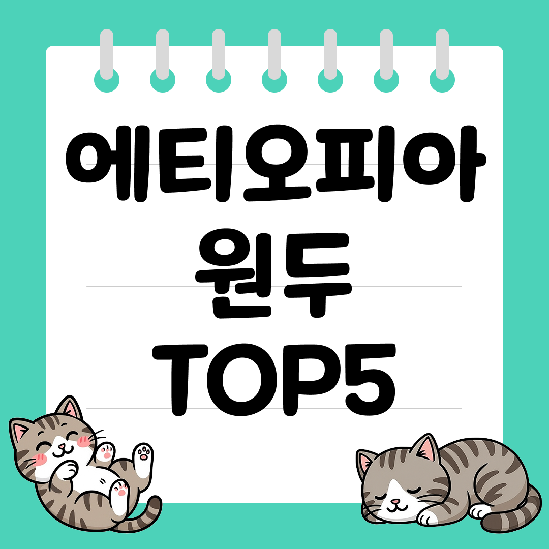 향긋한 꽃향과 과일 산미의 조화, 에티오피아 원두 추천 순위 TOP5