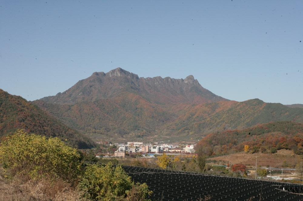 2025 제3회 문경트롯가요제 완벽 가이드 &amp;#124; 대상 3천만원 전국가요제 총정리&amp;quot;