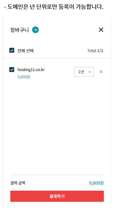 도메인 구입