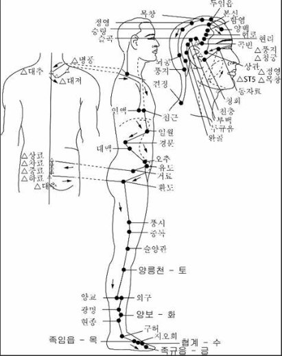 족소양담경(足少陽膽經)의 혈