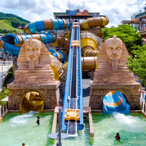 워터파크 추천 홍천 오션월드 후회 없는 코스