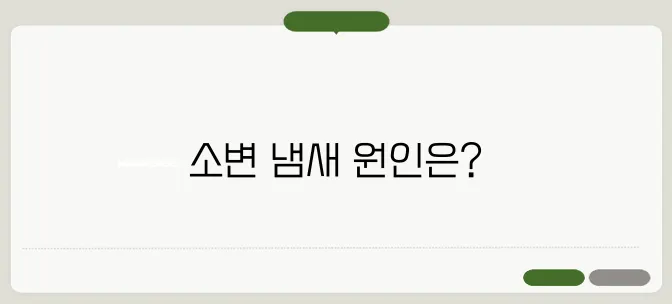 소변 냄새가 심할 때 어떤 질병을 의심해야 할까?