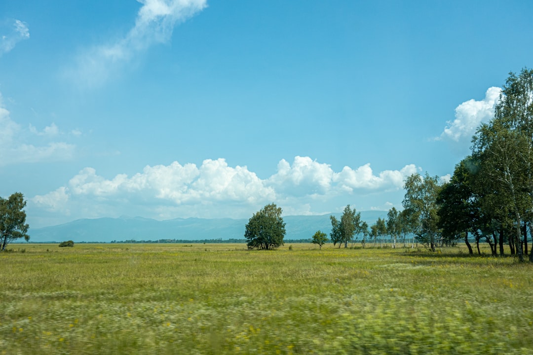 Land.