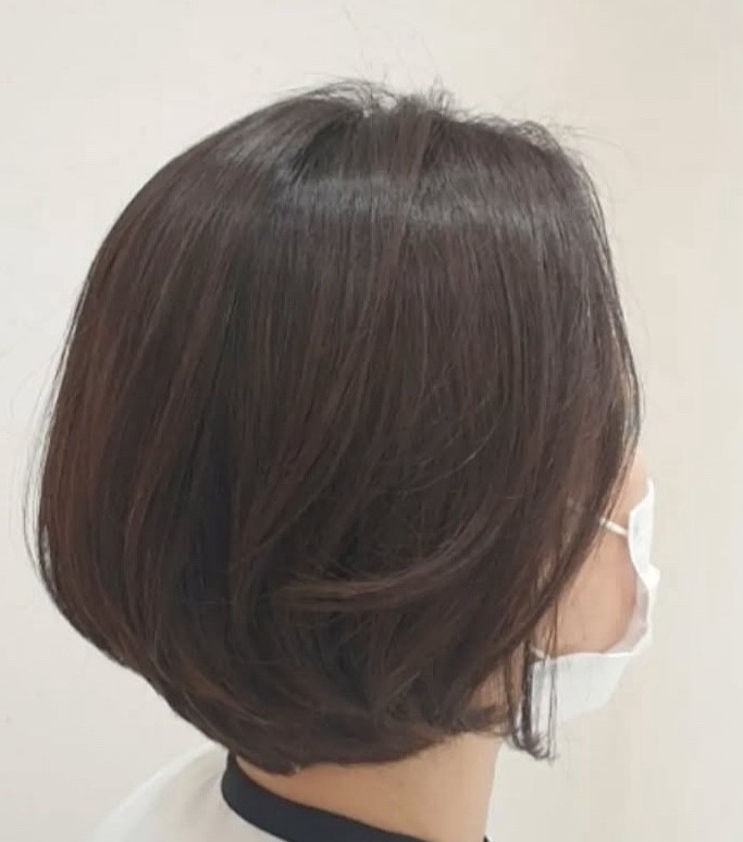 보브컷 (또는 보브 단발)