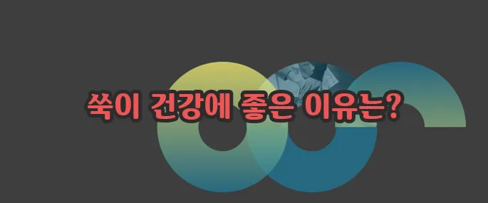 쑥 효능 자세히 알아볼게요