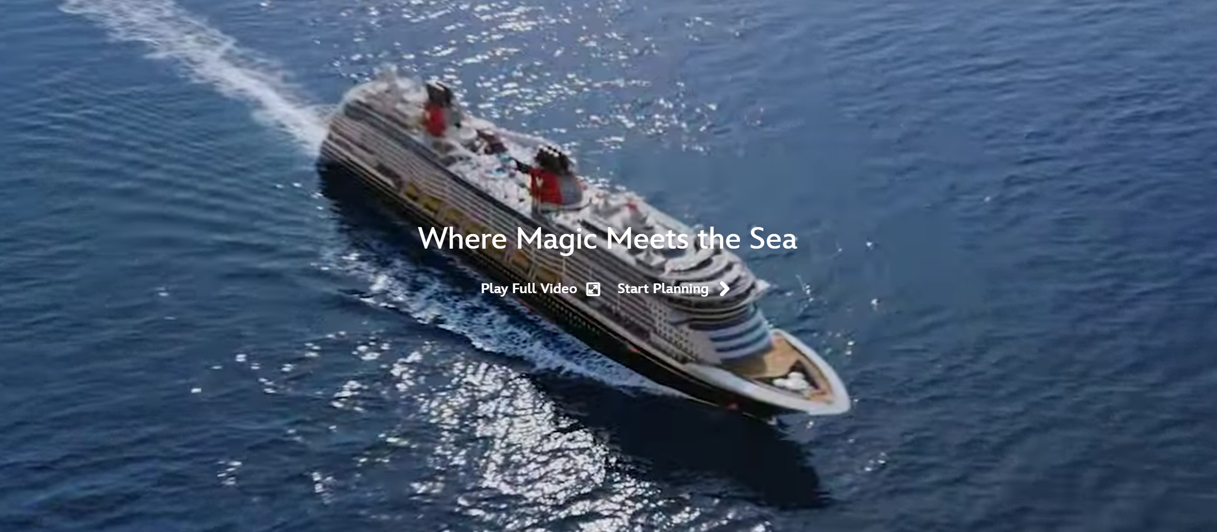 세계 최대 크루즈 기업 TOP 5 (2025년 상반기 기준)