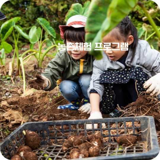 농촌체험 프로그램 선착순 예약하기