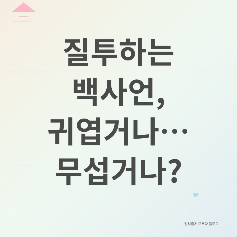 백사언 집착_2