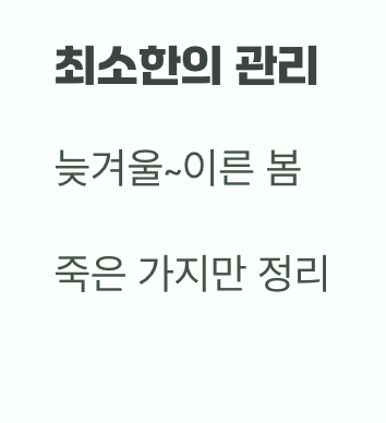 비결 4. 그대로의 멋&amp;#44; &amp;#39;자연스러운 수형&amp;#39;