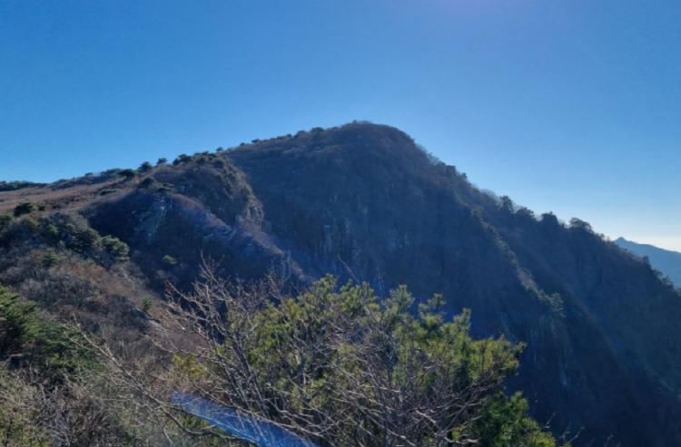 비슬산 등산코스