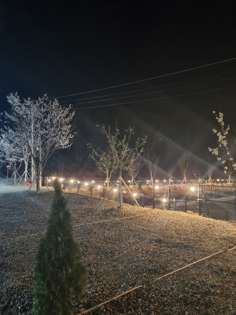 캠핑장 전경1