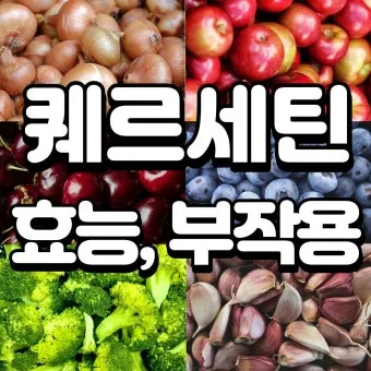 퀘르세틴 효능부족 현상복용방법 시기부작용많은 음식적정량 안내_13