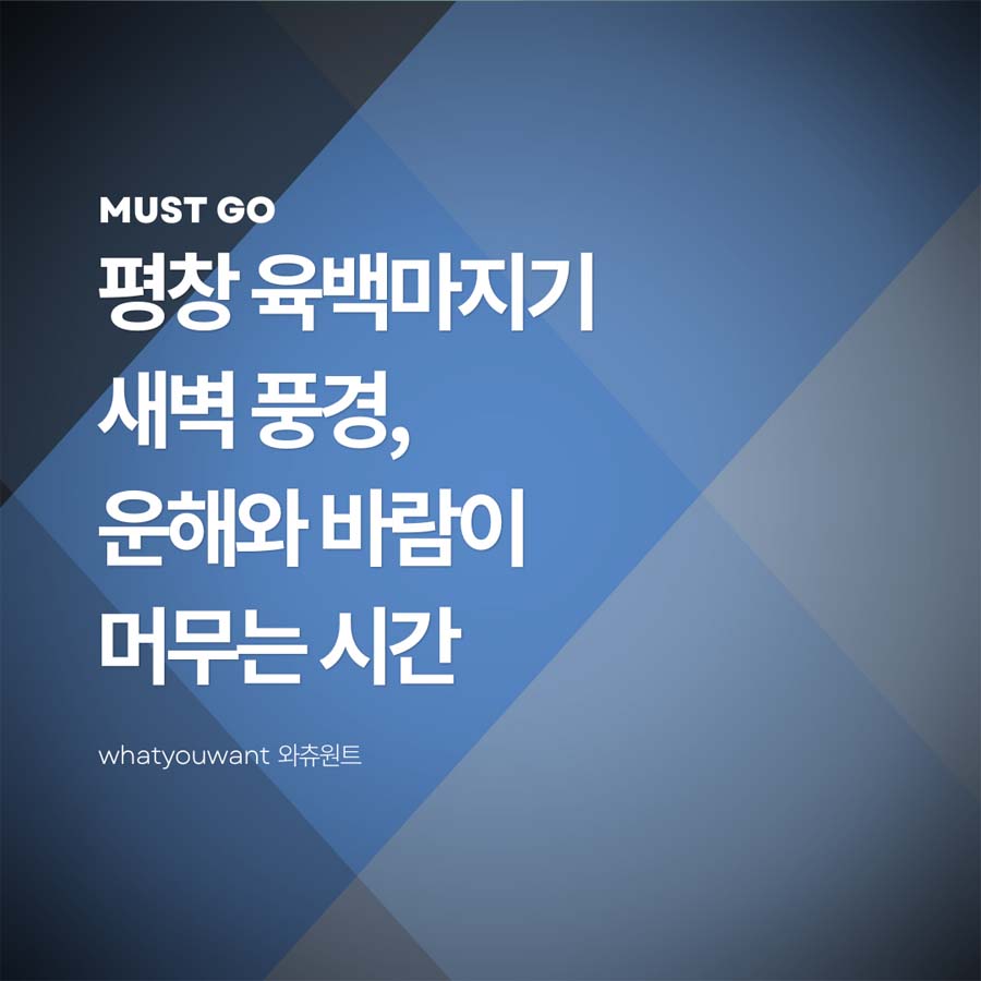 평창 육백마지기 새벽 풍경 ❘ 운해와 바람이 머무는 시간