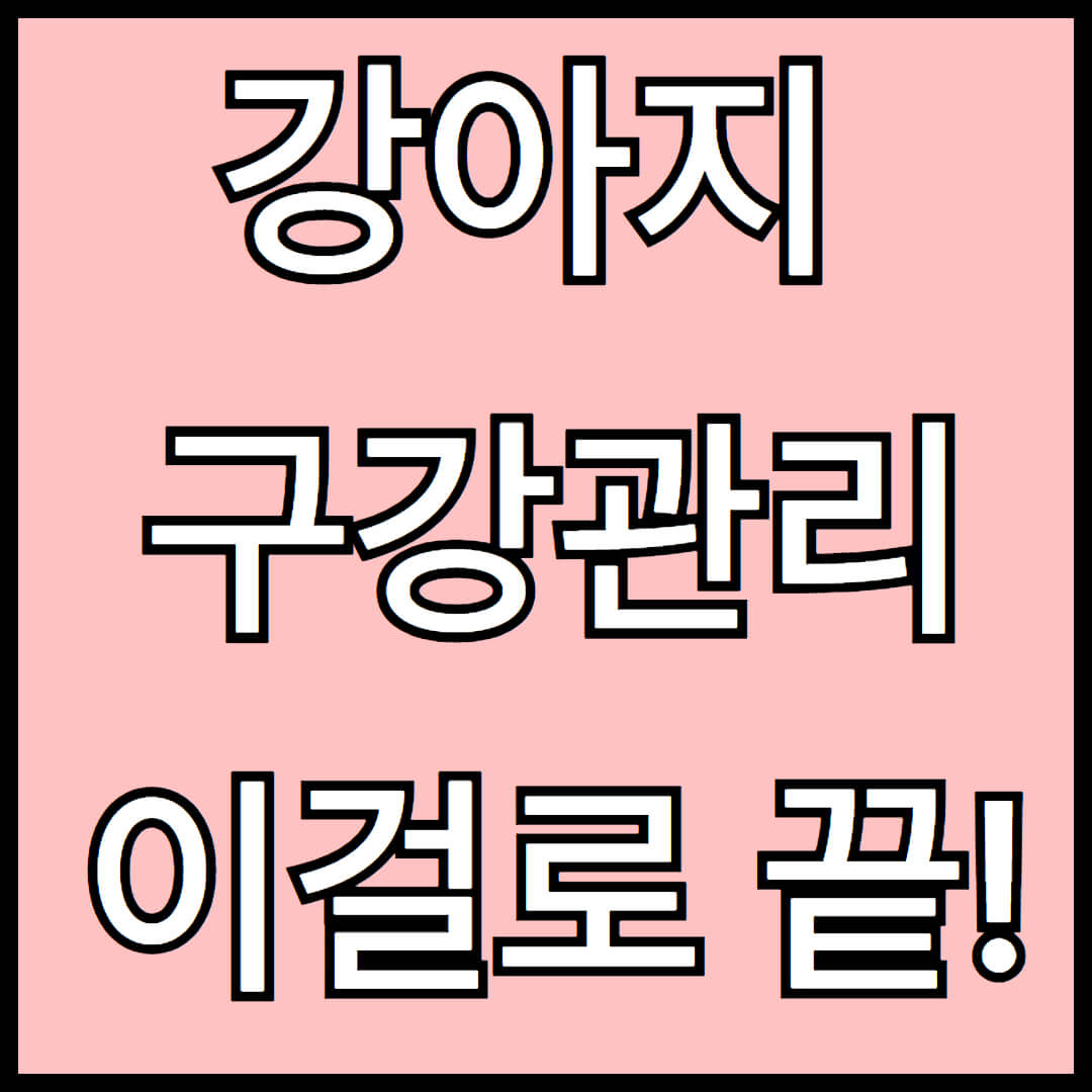 강아지 손가락칫솔