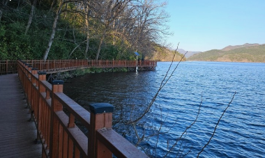 '100억송이' 가을꽃