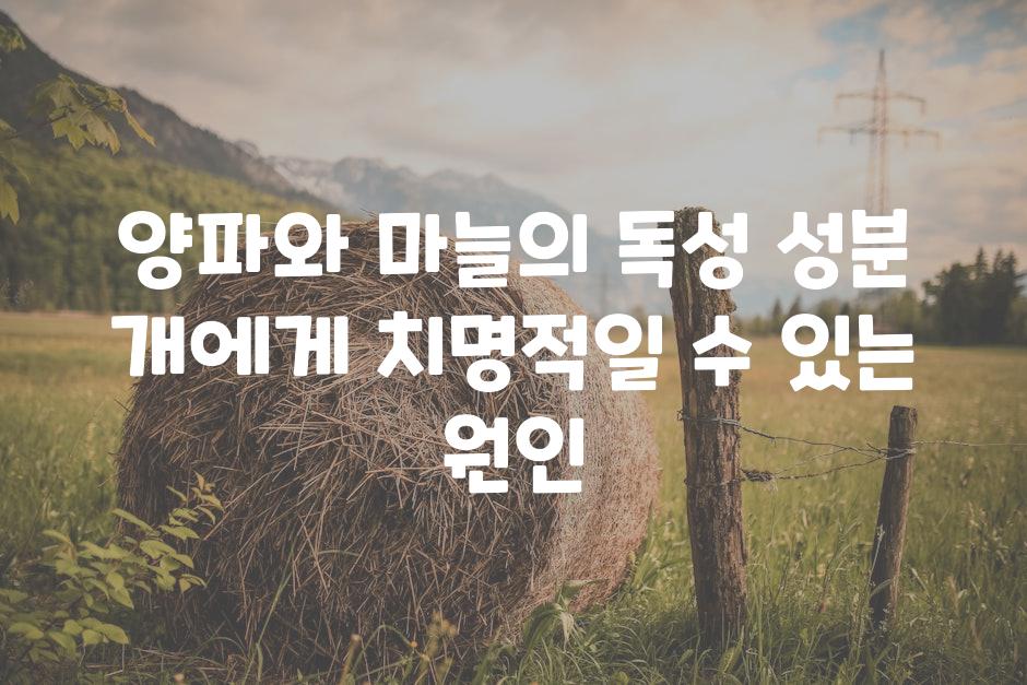 양파와 마늘의 독성 성분 개에게 치명적일 수 있는 원인