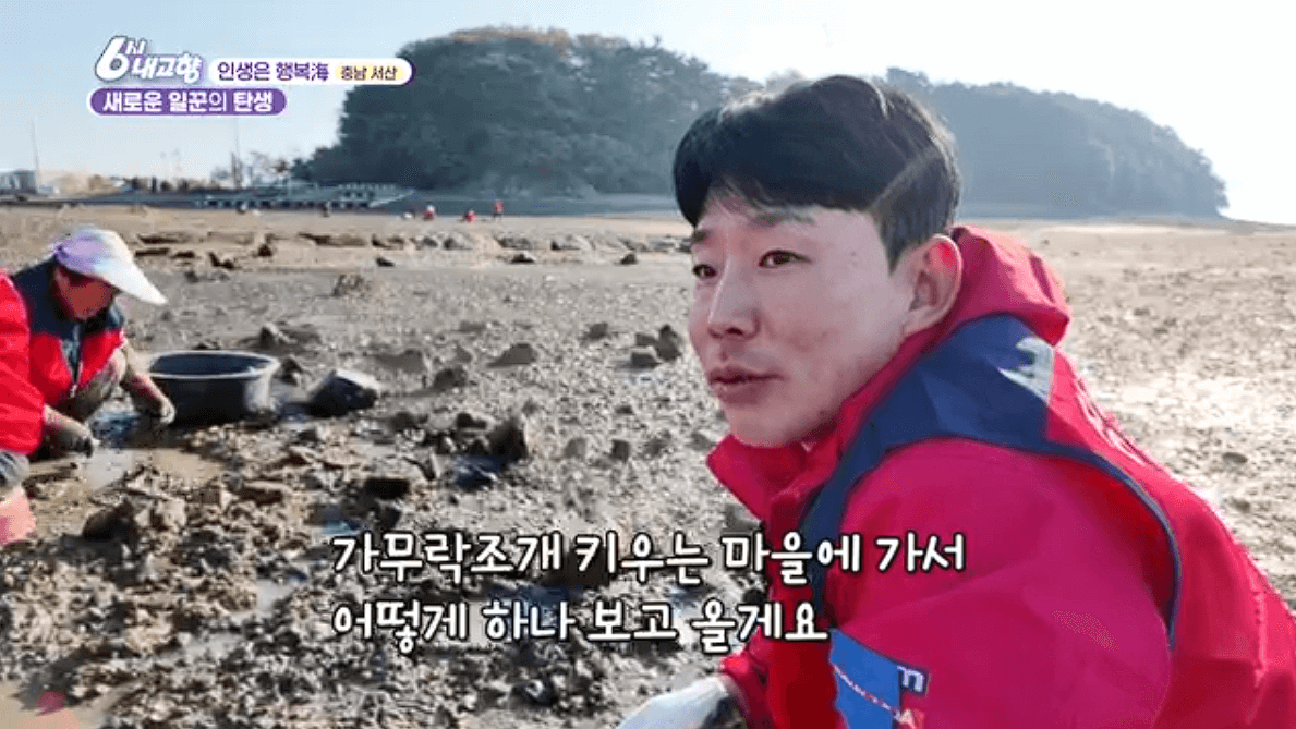 [6시내고향]충남 서산 해상 좌대낚시 고려호 창리해상펜션 바지락 해뜨는천수만 예약 연락처 위치 정보를 자세히 알려주는 이미지입니다.