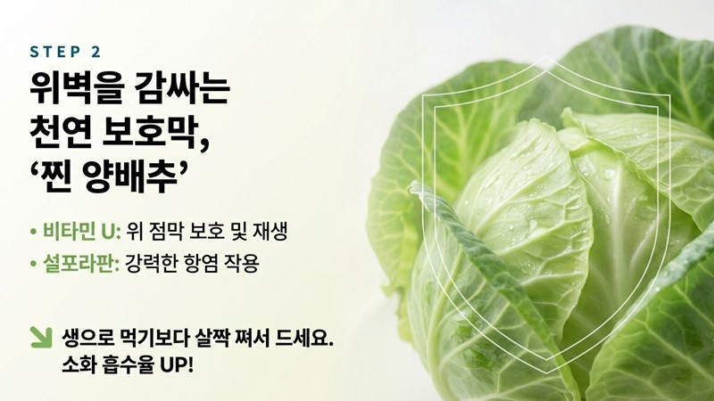 위 점막을 보호하는 천연 항염제 '양배추'