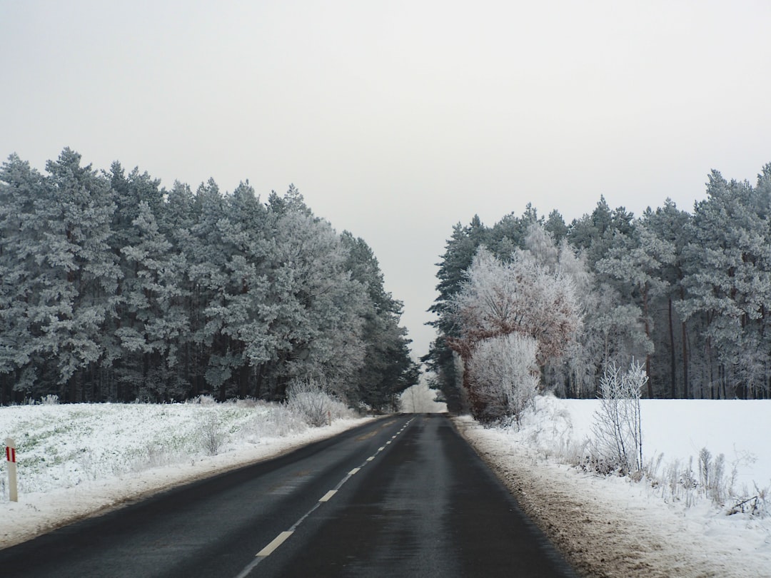 Beginning of Winter