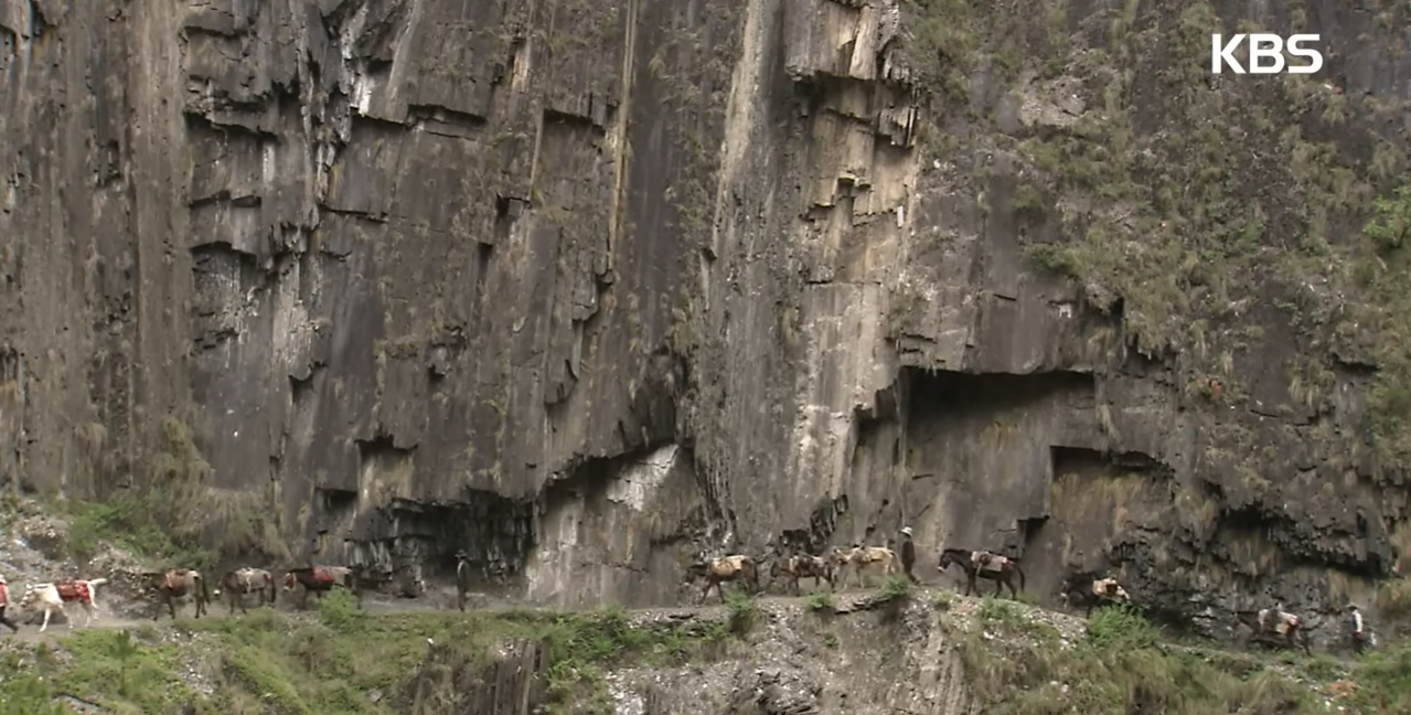 차마고도: 천상의 길 KBS 다큐멘터리 6부작