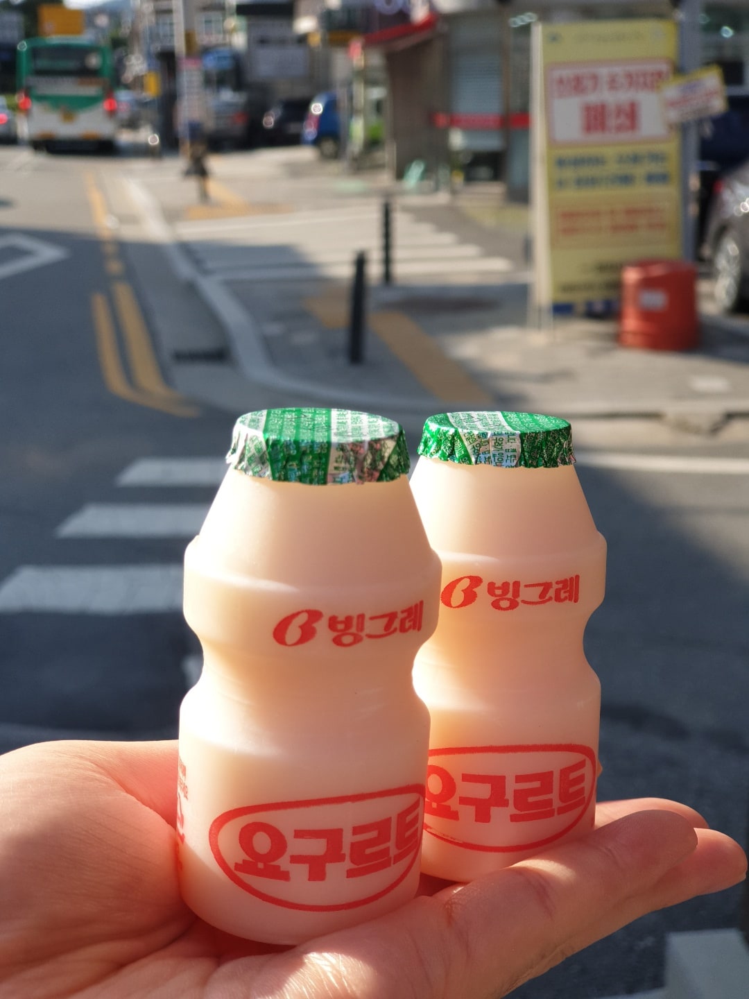 요구르트_후식