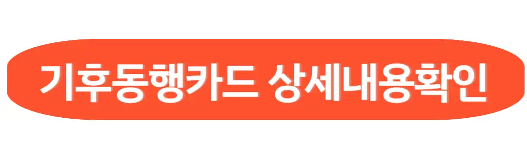 기후동행카드 상세내용확인