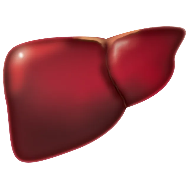 지방간 없애는 방법