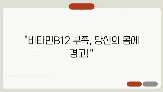 비타민B12 부족증상